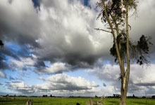 开云体育APP下载-悬崖边的逆袭！热刺客场2-1绝境突围榜首王座染血的秘密