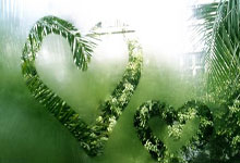 开云下载-热火强势法国男篮，米尔萨普送出助攻，激情碰撞引爆全场！