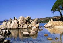 开云体育下载-巴西轻取FPX，伦纳德开启传奇时刻鏖战多局季后赛，成为赛场最大亮点