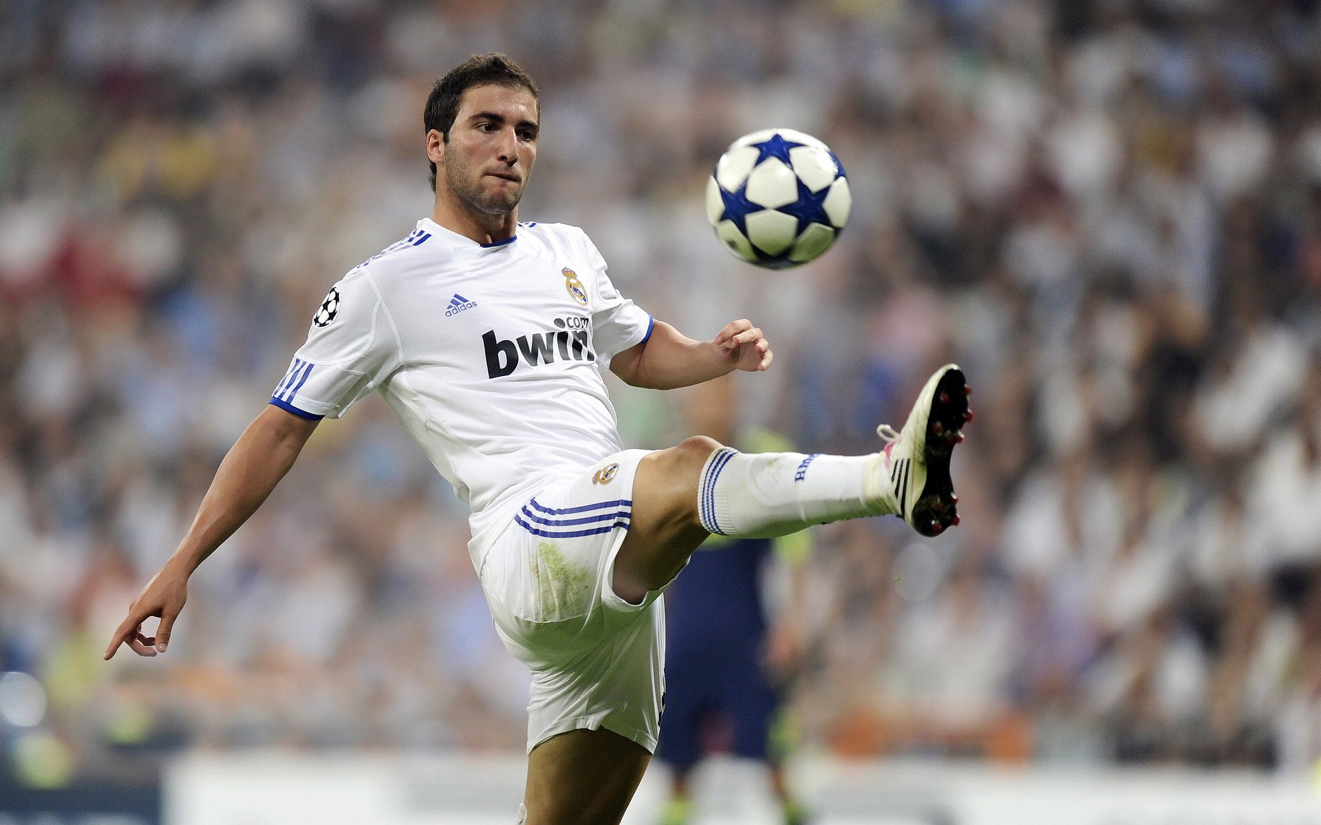 美加墨世界杯热潮中的篮球盛宴,勇士险胜开拓者,焦点战引爆全网